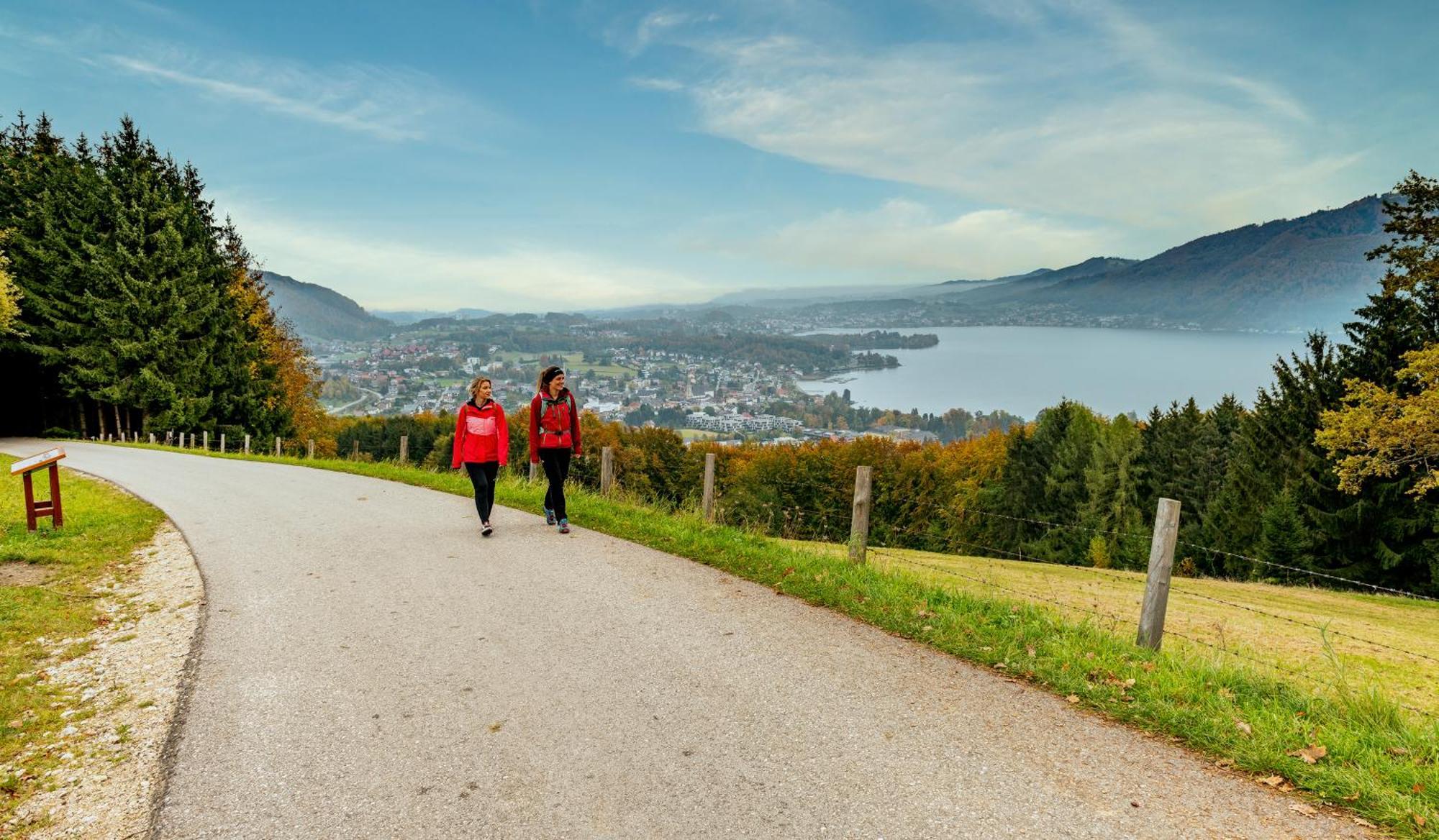 Apartmenthotel 'S Mitterndorf Traunkirchen Eksteriør bilde